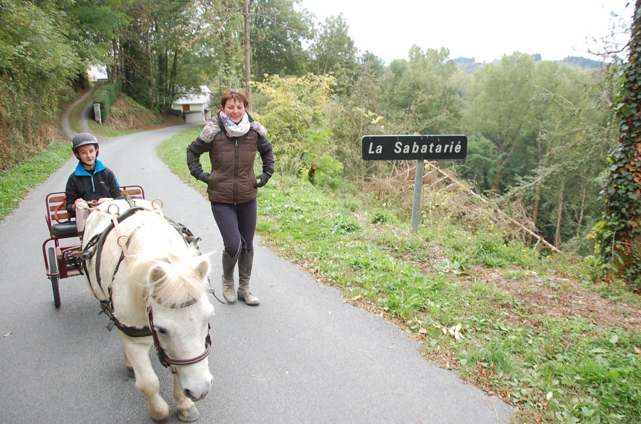 Les Ecuries De La Sabatarie Hotel Cambounes ภายนอก รูปภาพ